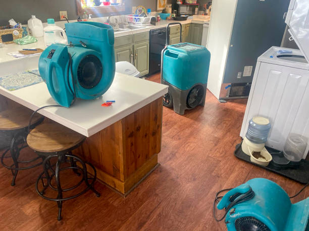 Best 24-hour water damage restoration  in Leonville, LA