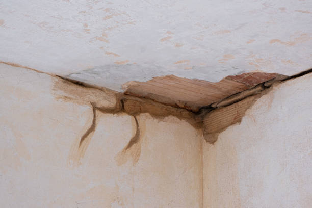 Best Flood damage cleanup  in Leonville, LA