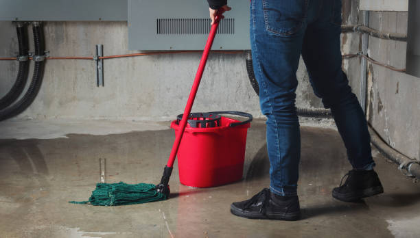 Best Sewage cleanup and water damage restoration  in Leonville, LA