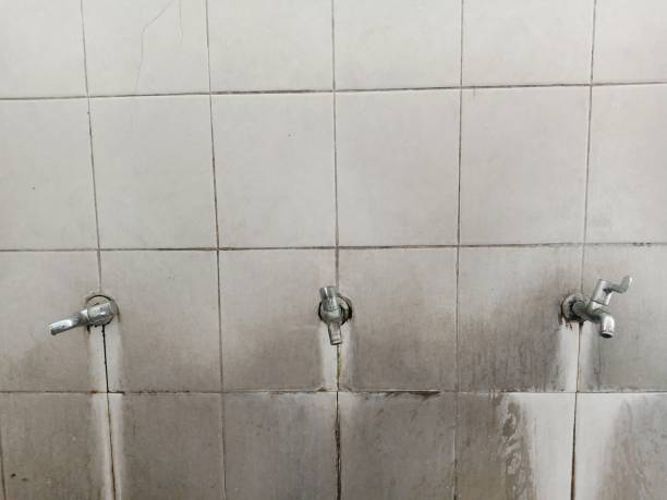 Best Local water damage restoration  in Leonville, LA