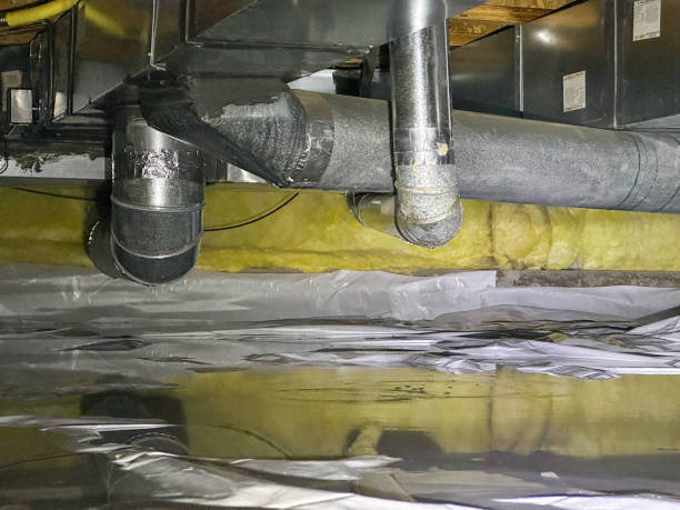 Best Ceiling water damage repair  in Leonville, LA