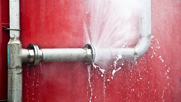 Best 24/7 water damage repair  in Leonville, LA